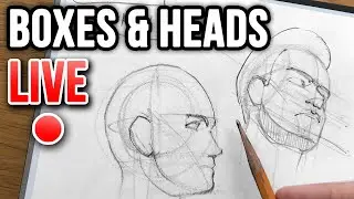 Drawing Boxes & The Human Head! | LIVE 🎨 🔴