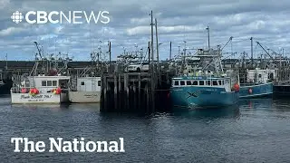 Fisheries officers back on the job after refusing work due to violence