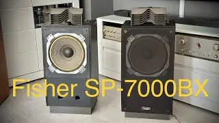 Fisher SP-7000 BX with Fisher tweeter SP-7000 TW speakers Vintage
