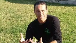 ESCARIFICADO Y RE SIEMBRA