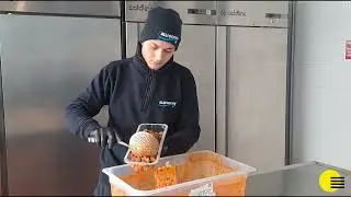 ITALIANBEES-Blu Ocean, quasi un secolo di amore per il pesce.
