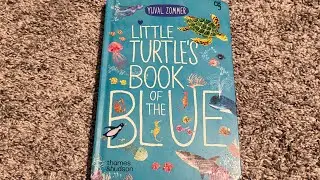 Storytime with Rebekah: Little Turtle&rsquo;s Book of the Blue by Yuval Zommer