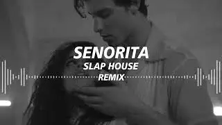 Shawn Mendes, Camila Cabello - Se&ntilde;orita (Pheng REMIX) 2022