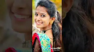 Tarrki only whatsApp status