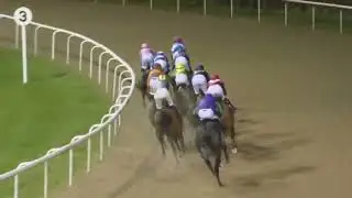 (GUSTAV GRAVES)6 Race Wolverhampton 26 Feb 2024