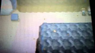 How to get to the Relic Castle in Pokemon White