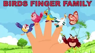 🦜 Bird Finger Family Song 🦉 Daddy Finger Songs 🦩 Nursery Rhymes for Kids 🦆