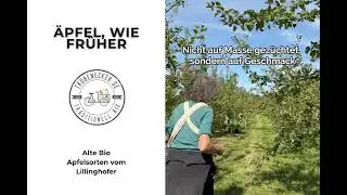 🌳 Mona & Stefan retten alte Apfelsorten &ndash; hilfst du mit?