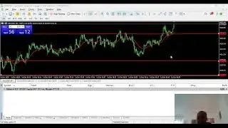 LIVE Forex Signals | Volatility Indices, Crash & Boom, Gold | High-Accuracy Trades