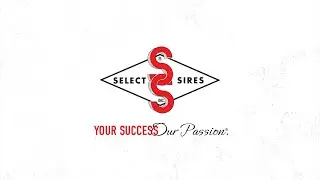 April 2022 Sire Summary Holstein Review