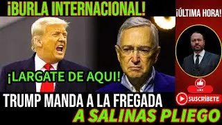 &iexcl;Largo de aqui! Trump manda a la fregada a salinas pliego