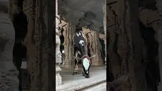 MOST mysterious Temple in Hampi 👁️&zwj;🗨️ Virupaksha Temple