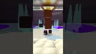 Northern Kings Super Bear Adventure #superbearadventure