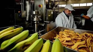 High-Speed Plantain Chips Production Line &ndash; From Raw to Crispy!🍌✨