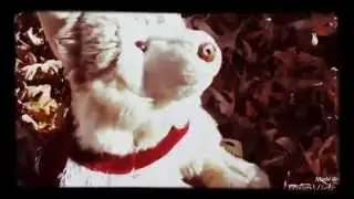 Hi Pooflyn