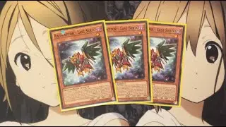 My Raidraptor Deck Profile for February 2016
