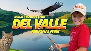 Del Valle Regional Park Livermore Ca | Bald Eagle & a Bobcat While Fishing | Austin Ca$h #adventure 