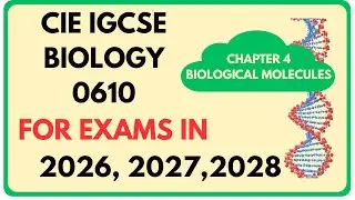 Биология, IGCSE, глава 4: Биологические молекулы
