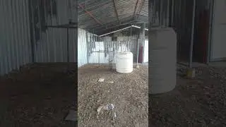 Goat farming journey starts 🐐✨ | First vlog &mdash; shed setup & planning!#malakgoatfarm#goatfarm#farming