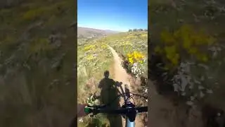 Burt's trail  #mtb #centralwa #wenatchee