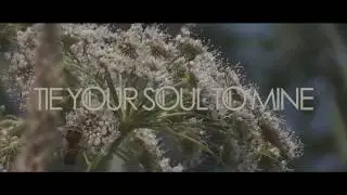 Safe Hands - Tie Your Soul To Mine (Album Teaser)
