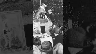 Aqu&iacute; es la tumba del famoso perrito japon&eacute;s Hachiko 🐕🇯🇵