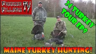 Reaping and Calling! Maine Turkey Hunting 2024! 24TT,EP9