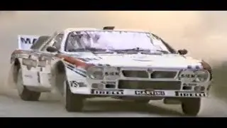 1983 World Rally Championship
