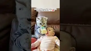 Furry Guardian 🛡️🐾 #cats #baby #cute