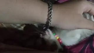 Do you like my chain bracelet‽ | Bayi Kucing Rayap Besi ⛓️😹