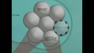 Thortspace explained