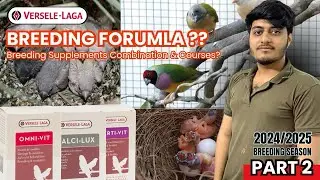 Breeding Formula? || Part 2 - S25 || VERSELELAGA Breeding Supplement Course by HUZAIFA ADVANI