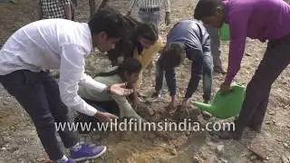 Volunteers plant trees during Hero and TOI's 'Let Delhi Breathe' Green Drive