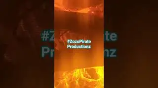 #reggae #dancehall #music #reggaemusic #dogs # redneck #fire #israel #gaza #zozopirateproduction