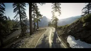 Alan Watts - Live fully now