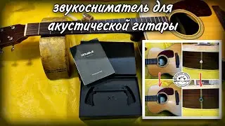 Double X1 Pro Soundhole Pickup. DEmelyanov