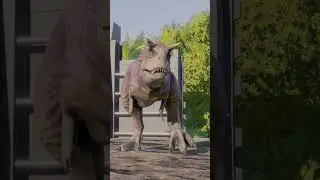 T.Rex Accurate vs Disney Carnotaurus. #dinosaur #trex #carnotaurus #jurassicworld #jurassicpark