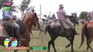 programa 10 de enero de 2026