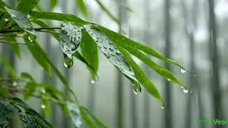 FALL INTO SLEEP INSTANTLY - Relaxing Sleep Music + Insomnia | Rain Sounds for Stress Relief, Anxiety