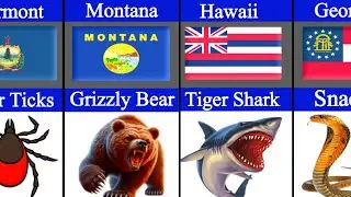 Most Dangerous Animals Every State in America | What's America's DEADLIEST Creature in Each State?