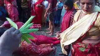 বড়মা কাউকে খালি হাতে ফেরায় না কথাটা আকাশের চন্দ্র সূর্যদেবের ন্যায় সত্য জয় বড়মা🌺🌺  #viralvideo