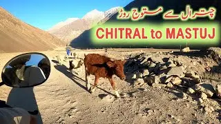 shandur tak new road | chitral to mastuj road condition 2023