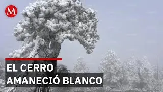 Ca&iacute;da de nieve cubre el Cerro del Potos&iacute; en Nuevo Le&oacute;n