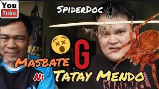 Gagambang MASBATE ni Tatay Mendo! UNBOXING at LABAN na Agad!! Spider Fight.