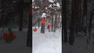 Новогодние игрушки на сосне)))