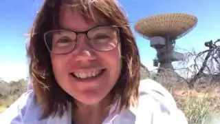At the Dish