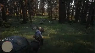 Red Dead Redemption 2 deer companion