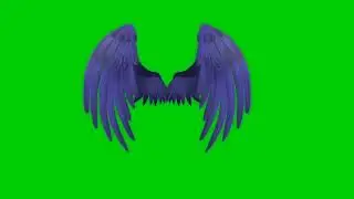 realistic wings new green screen effect