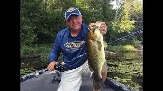 Pitch Stick Bass- St.Croix Legend Tournament Bass