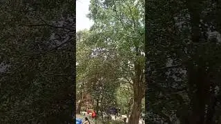 Green Nature #park#pasyalan#kabisdak vlog